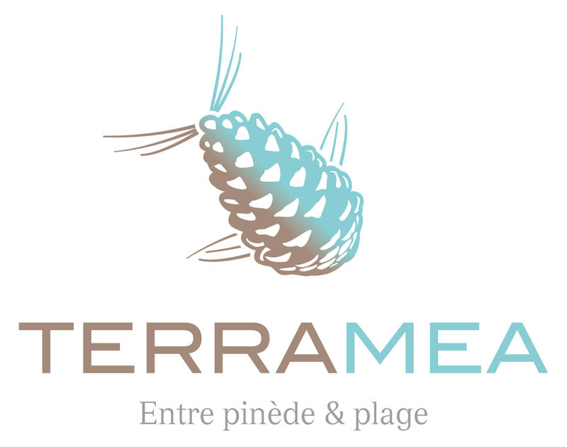 Appartement - 51 m² - 3 pièces