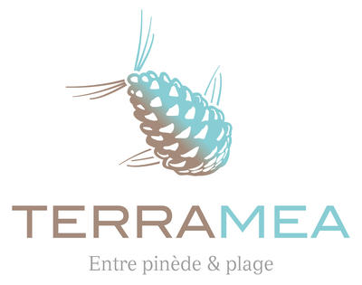 Appartement - 51 m² - 3 pièces