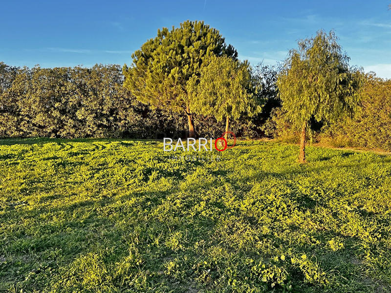 Terrain - 825 m²