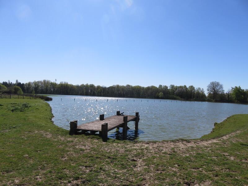 Propriété - 500 m² - 14 pièces