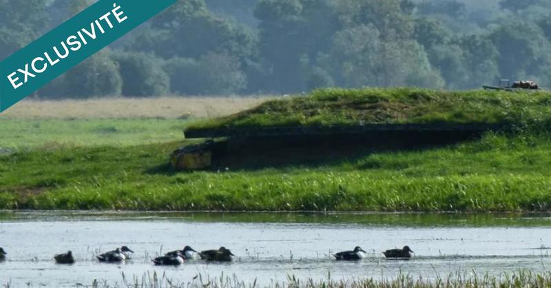 Terrain agricole - 20 000 m²