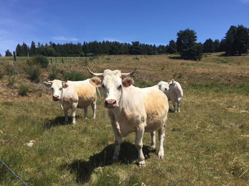 Fonds de commerce - 400 m²