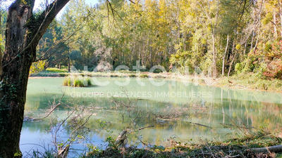 Terrain de loisirs - 6 630 m²