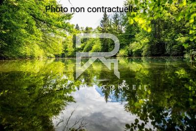 Terrain - 34 000 m²