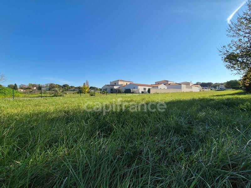 Terrain - 3 288 m²