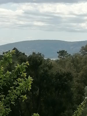 Maison - 292 m² - 10 pièces