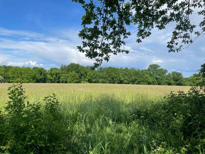 Terrain constructible - 1 210 m²