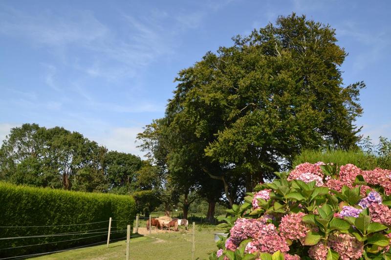 Maison de maîtres - 85 m² - 6 pièces