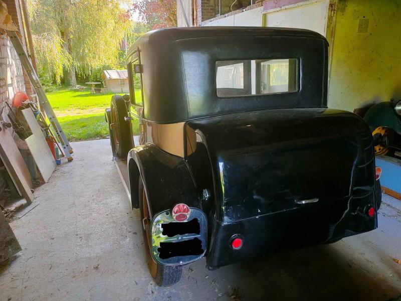 Delage di 11 Semi Weymann