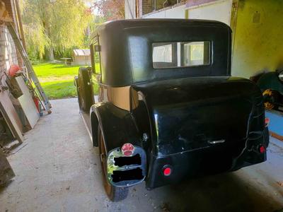 Delage di 11 Semi Weymann