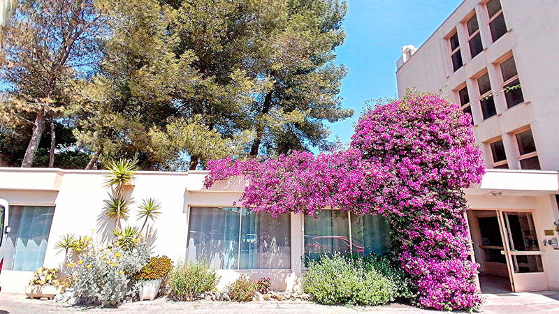 Appartement - 55 m² - 2 pièces