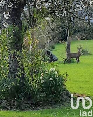 Maison de ville - 226 m² - 7 pièces