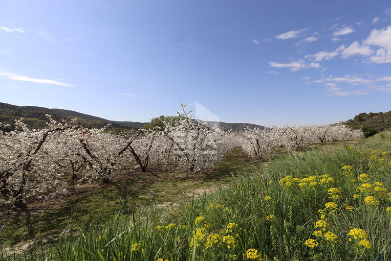 Maison - 48 m² - 2 pièces