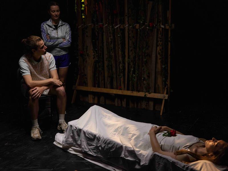 Scènes d'été spectacle : la Fée du bois dormant