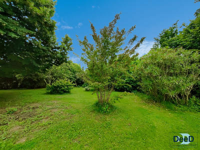 Maison ancienne - 220 m² - 8 pièces