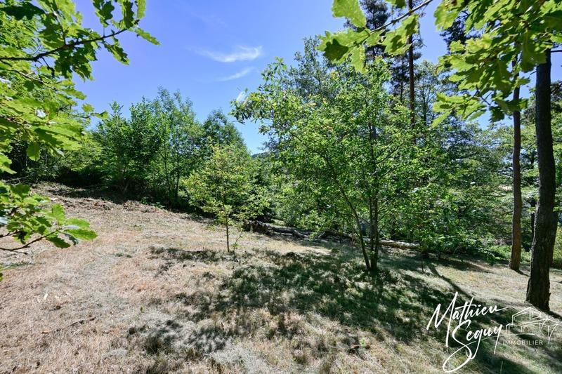 Terrain constructible - 2 779 m²