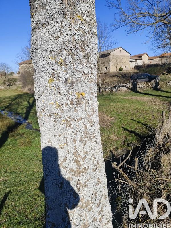 Ferme - 120 m² - 1 pièce