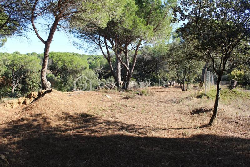 Maison d'architecte - 270 m² - 6 pièces