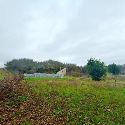 Maison - 15 m² - 1 pièce