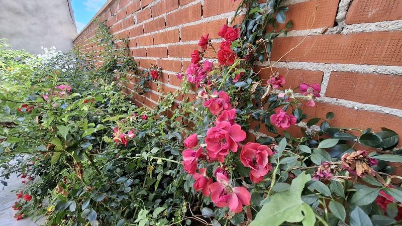 Maison - 96 m² - 5 pièces