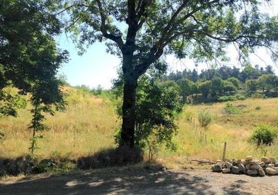 Maison - 55 m² - 2 pièces