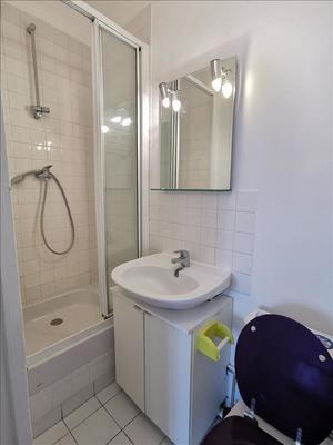 Studio - 24 m² - 1 pièce