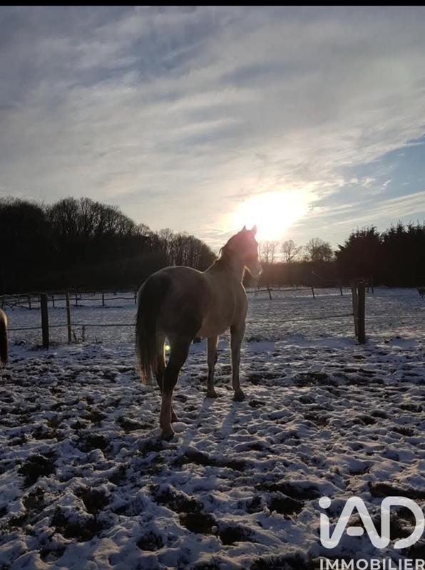 Maison - 370 m² - 14 pièces