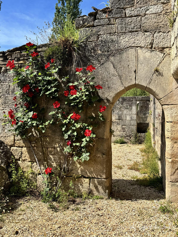 Château - 245 m² - 11 pièces