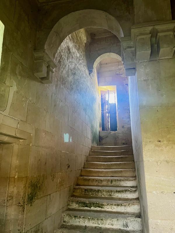 Château - 500 m² - 10 pièces