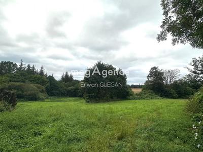 Maison - 250 m² - 4 pièces