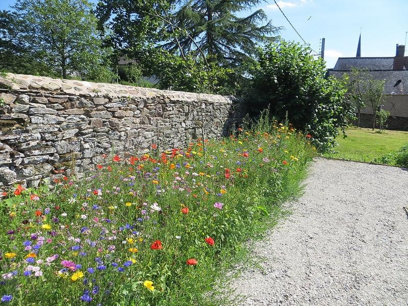 Manoir - 700 m² - 20 pièces