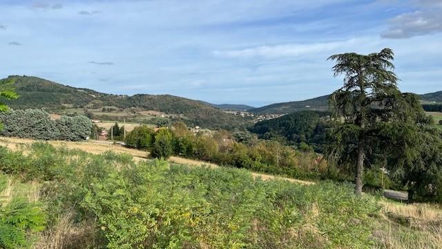 Terrain constructible - 972 m²