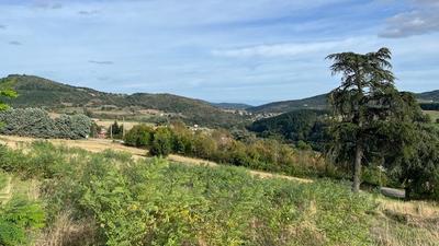 Terrain constructible - 972 m²