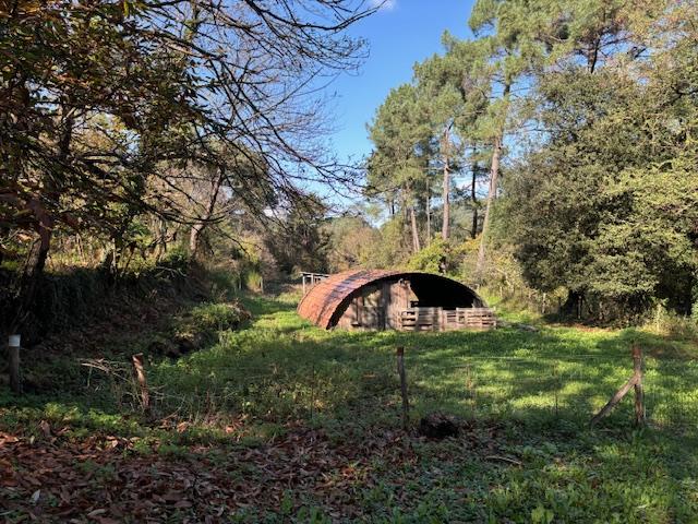 Mas - 120 m² - 5 pièces