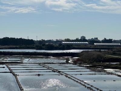 Maison - 158 m² - 7 pièces