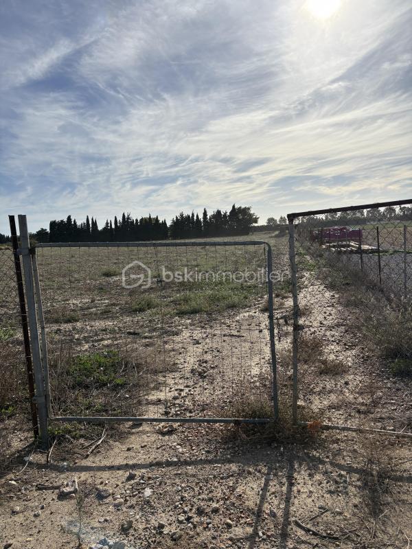 Terrain agricole - 15 000 m²