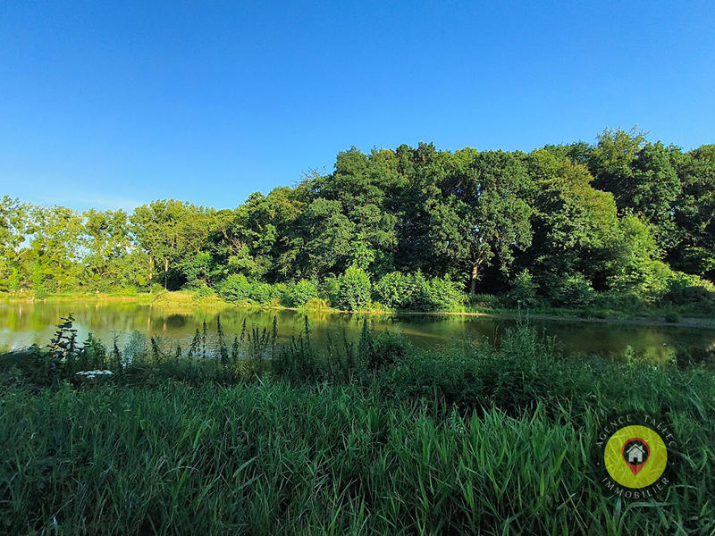 Maison - 750 m² - 13 pièces