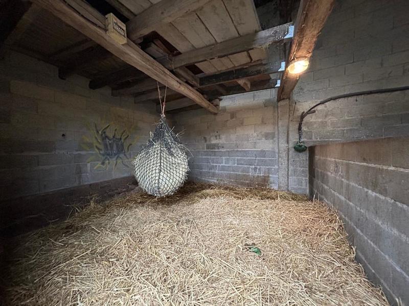 Maison de domaine équestre - 202 m² - 5 pièces