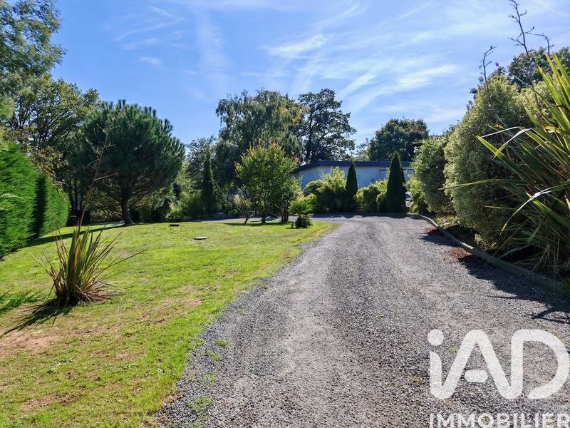 Maison de maîtres - 146 m² - 6 pièces