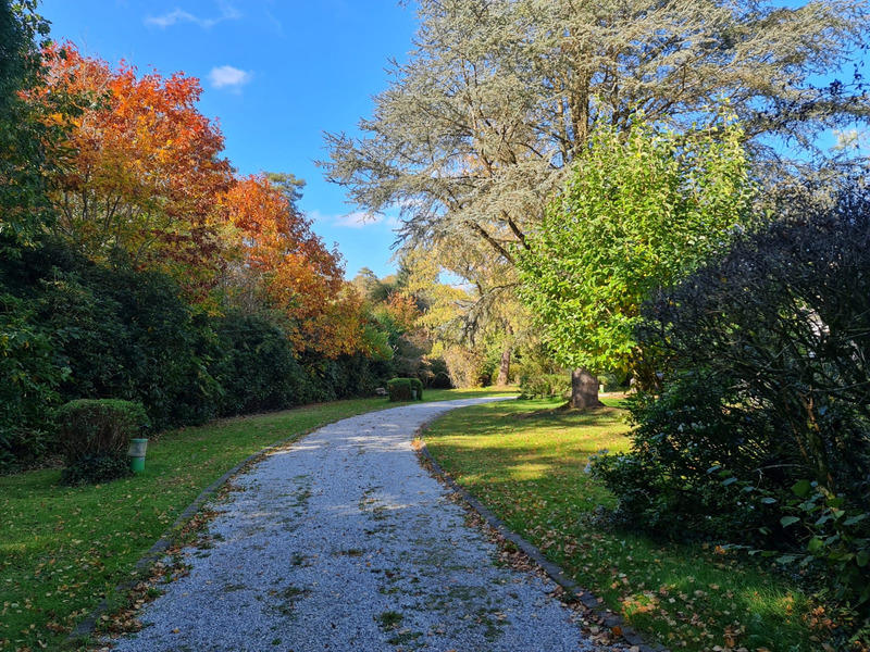 Maison bourgeoise - 300 m² - 10 pièces