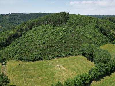 Terrain agricole - 71 100 m²