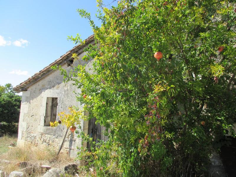 Maison - 400 m² - 5 pièces