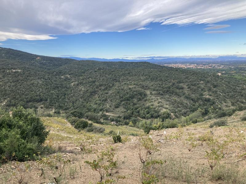 Terrain agricole - 10 846 m²