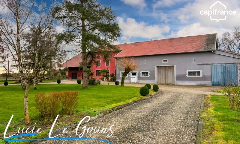 Haras - 239 m² - 9 pièces