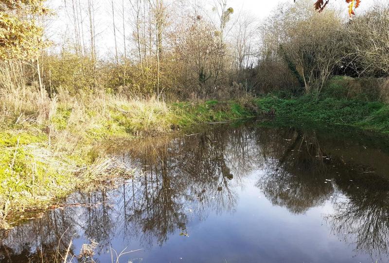 Terrain de loisirs - 1 230 m²