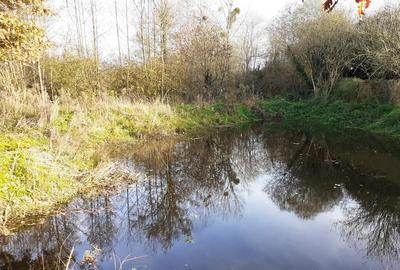 Terrain de loisirs - 1 230 m²