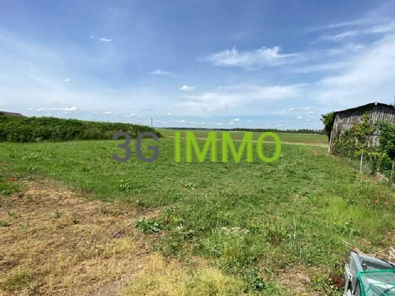 Maison - 500 m² - 12 pièces