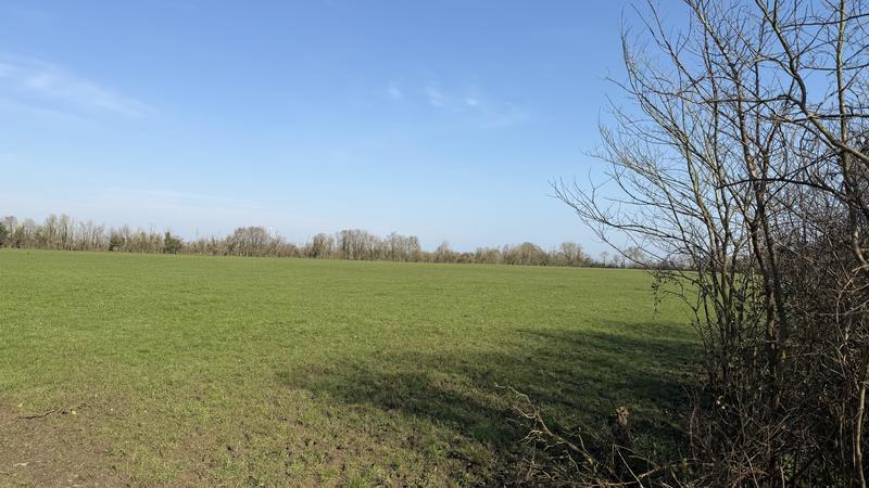 Terrain agricole - 99 298 m²