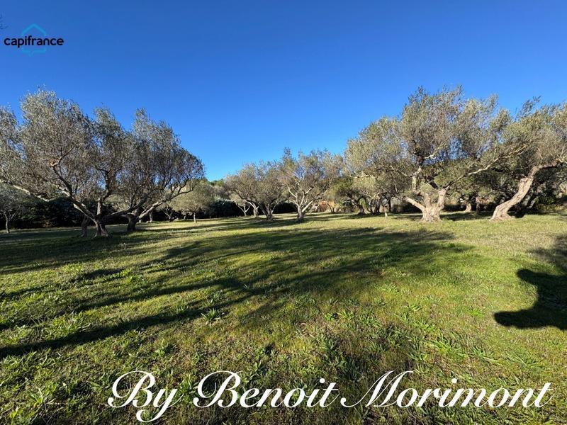 Maison - 234 m² - 5 pièces