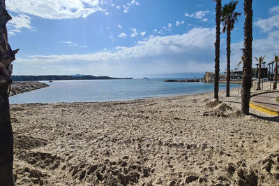 Appartement - 31 m² - 2 pièces